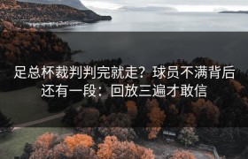 足总杯裁判判完就走？球员不满背后还有一段：回放三遍才敢信