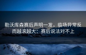 勒沃库森赛后声明一发，临场异常反而越滚越大：赛后说法对不上