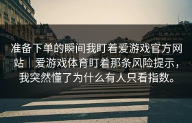 准备下单的瞬间我盯着爱游戏官方网站｜爱游戏体育盯着那条风险提示，我突然懂了为什么有人只看指数。