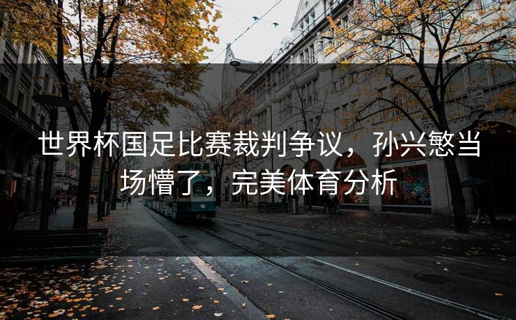 世界杯国足比赛裁判争议，孙兴慜当场懵了，完美体育分析