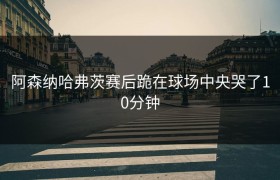 阿森纳哈弗茨赛后跪在球场中央哭了10分钟