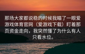 那场大家都说稳的时候我瞄了一眼爱游戏体育官网（爱游戏下载）盯着那页资金走向，我突然懂了为什么有人只看水位。