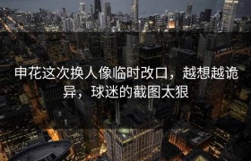 申花这次换人像临时改口，越想越诡异，球迷的截图太狠