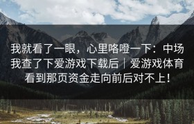 我就看了一眼，心里咯噔一下：中场我查了下爱游戏下载后｜爱游戏体育看到那页资金走向前后对不上！