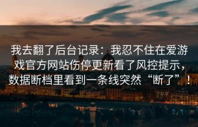 我去翻了后台记录：我忍不住在爱游戏官方网站伤停更新看了风控提示，数据断档里看到一条线突然“断了”！