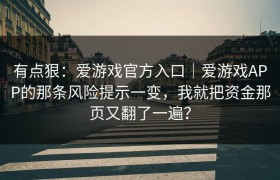 有点狠：爱游戏官方入口｜爱游戏APP的那条风险提示一变，我就把资金那页又翻了一遍？