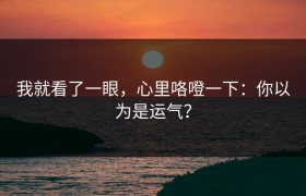 我就看了一眼，心里咯噔一下：你以为是运气？