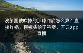 波尔图被吹掉的那球到底怎么算？直接炸锅，慢镜头给了答案，开云app直播