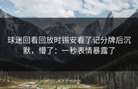 球迷回看回放时锡安看了记分牌后沉默，懵了：一秒表情暴露了