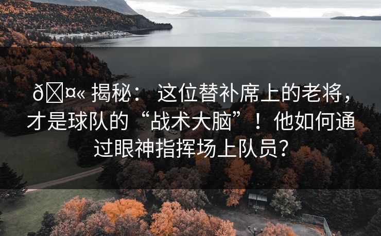 🤫 揭秘： 这位替补席上的老将，才是球队的“战术大脑”！他如何通过眼神指挥场上队员？