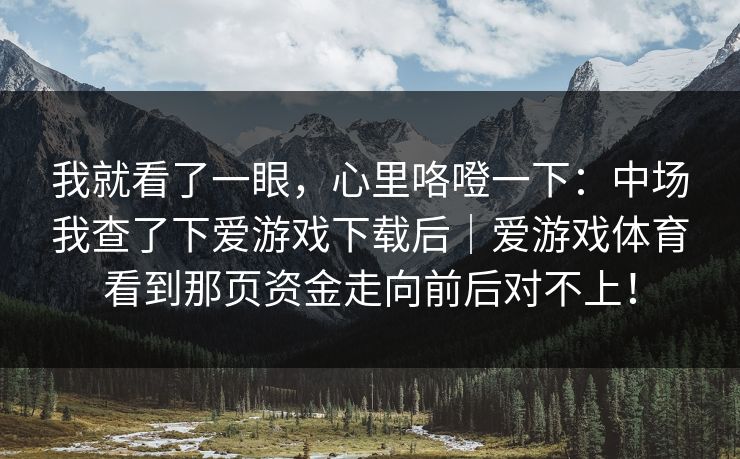 我就看了一眼，心里咯噔一下：中场我查了下爱游戏下载后｜爱游戏体育看到那页资金走向前后对不上！