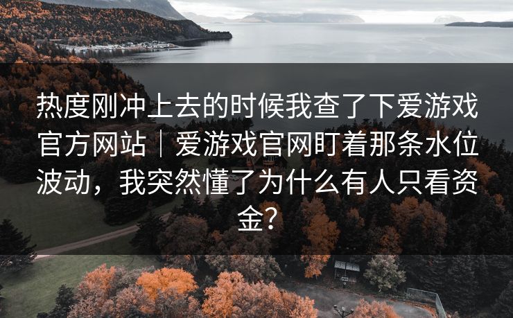 热度刚冲上去的时候我查了下爱游戏官方网站｜爱游戏官网盯着那条水位波动，我突然懂了为什么有人只看资金？