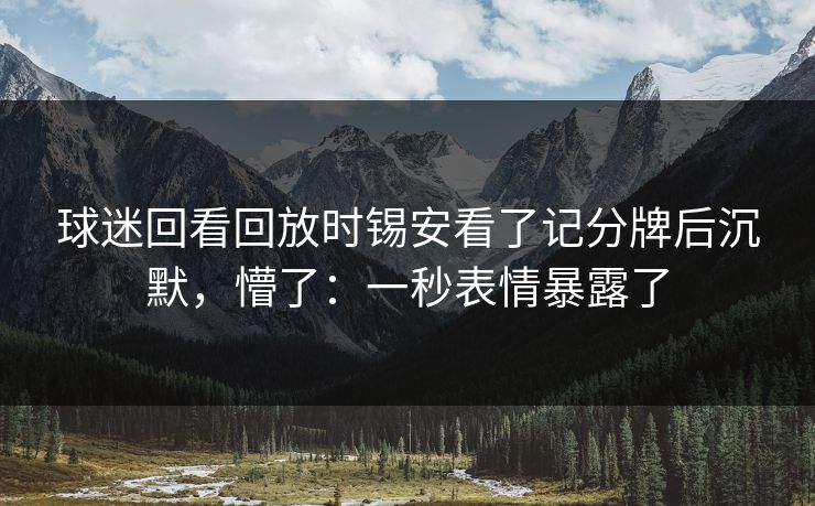 球迷回看回放时锡安看了记分牌后沉默，懵了：一秒表情暴露了